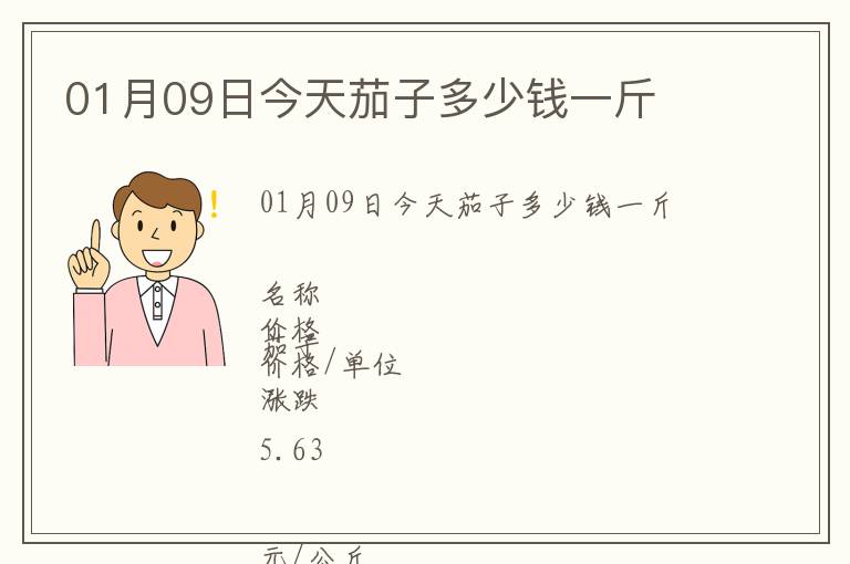 01月09日今天茄子多少钱一斤