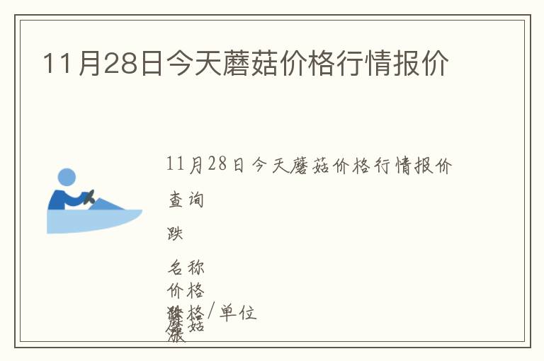 11月28日今天蘑菇价格行情报价