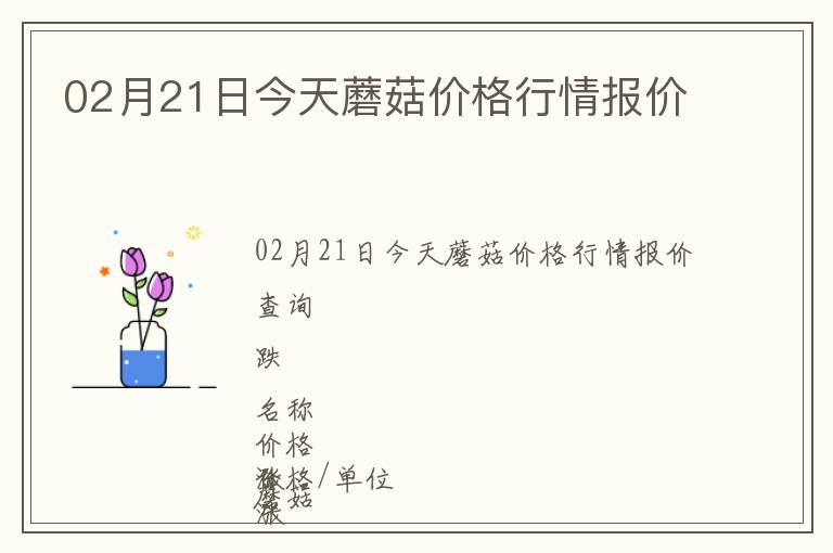 02月21日今天蘑菇价格行情报价