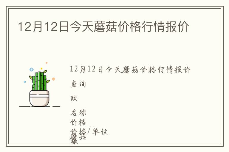 12月12日今天蘑菇价格行情报价