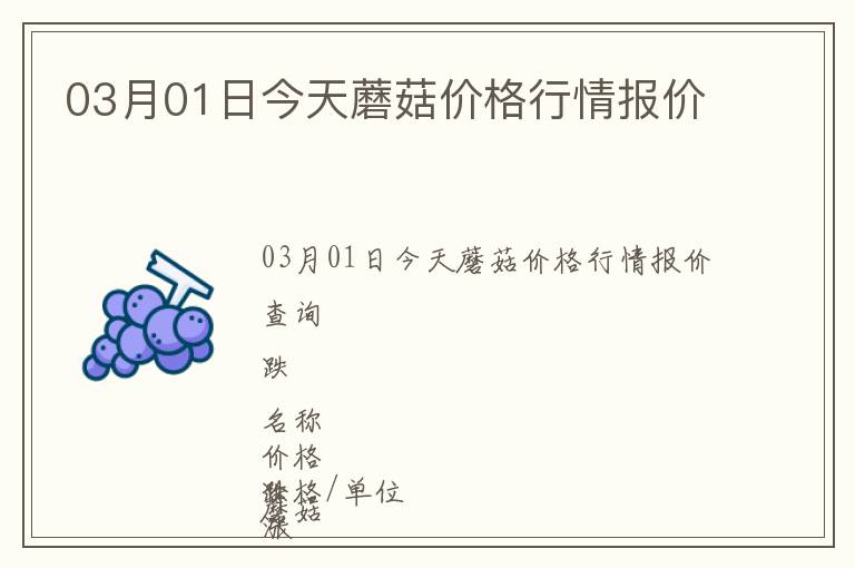 03月01日今天蘑菇价格行情报价