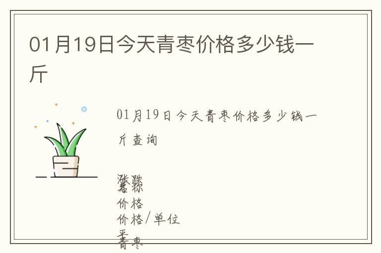 01月19日今天青枣价格多少钱一斤