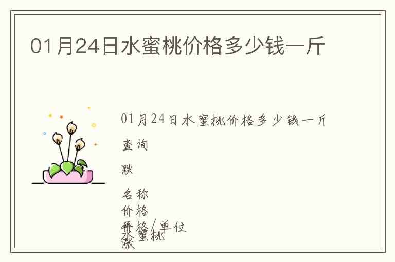 01月24日水蜜桃价格多少钱一斤