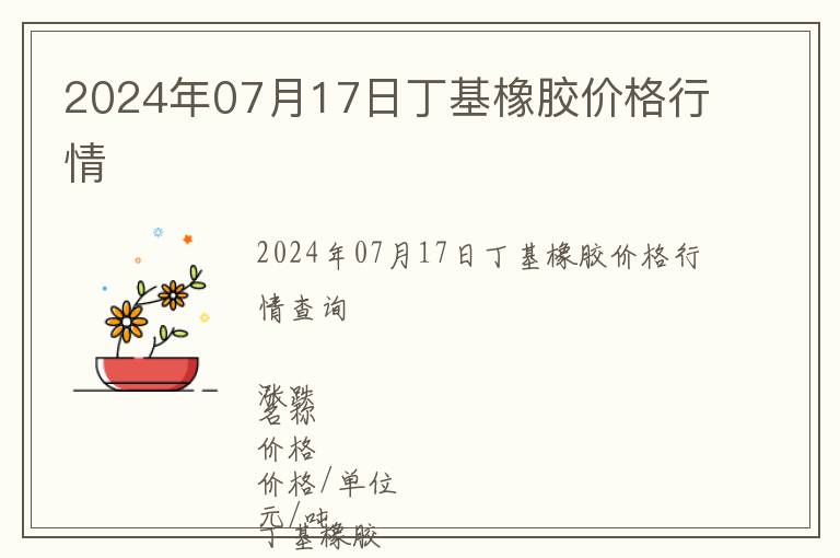 2024年07月17日丁基橡胶价格行情