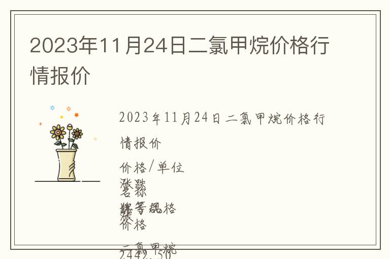 2023年11月24日二氯甲烷价格行情报价