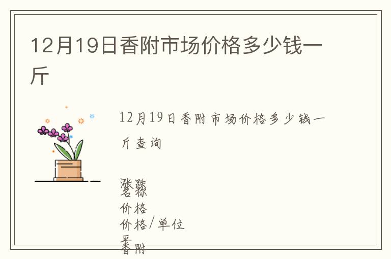 12月19日香附市场价格多少钱一斤