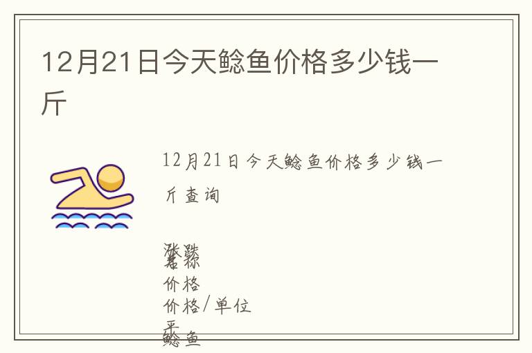 12月21日今天鲶鱼价格多少钱一斤