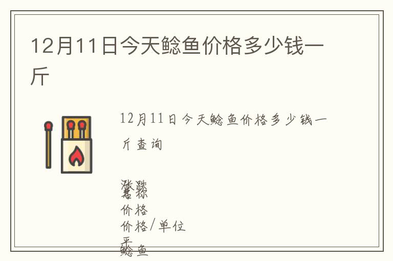 12月11日今天鲶鱼价格多少钱一斤