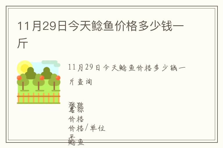 11月29日今天鲶鱼价格多少钱一斤