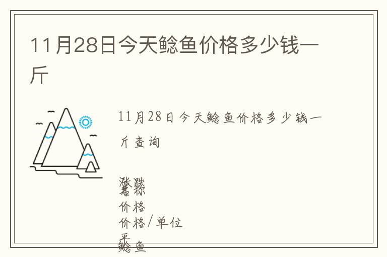 11月28日今天鲶鱼价格多少钱一斤