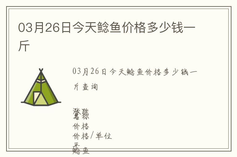 03月26日今天鲶鱼价格多少钱一斤