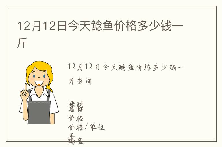 12月12日今天鲶鱼价格多少钱一斤