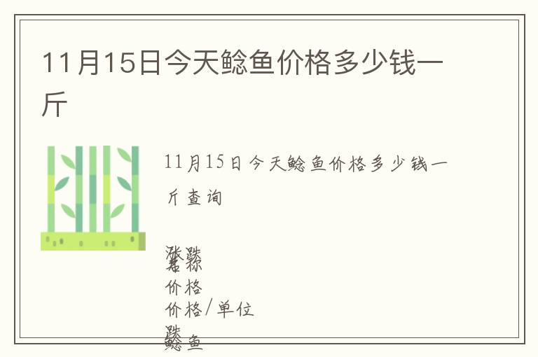 11月15日今天鲶鱼价格多少钱一斤