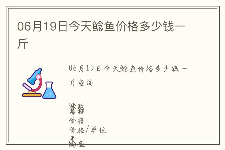 06月19日今天鲶鱼价格多少钱一斤