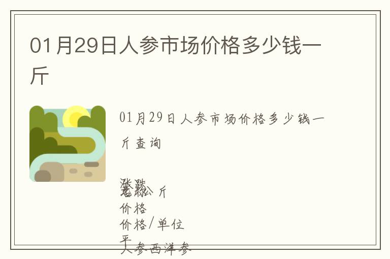 01月29日人参市场价格多少钱一斤