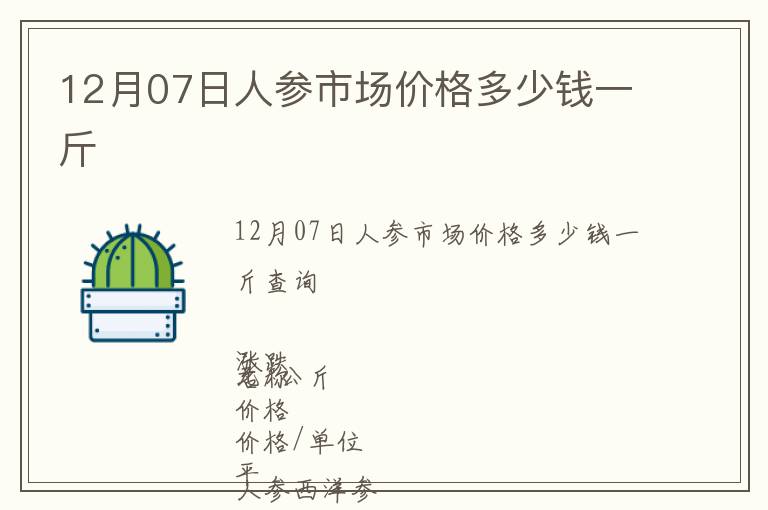 12月07日人参市场价格多少钱一斤