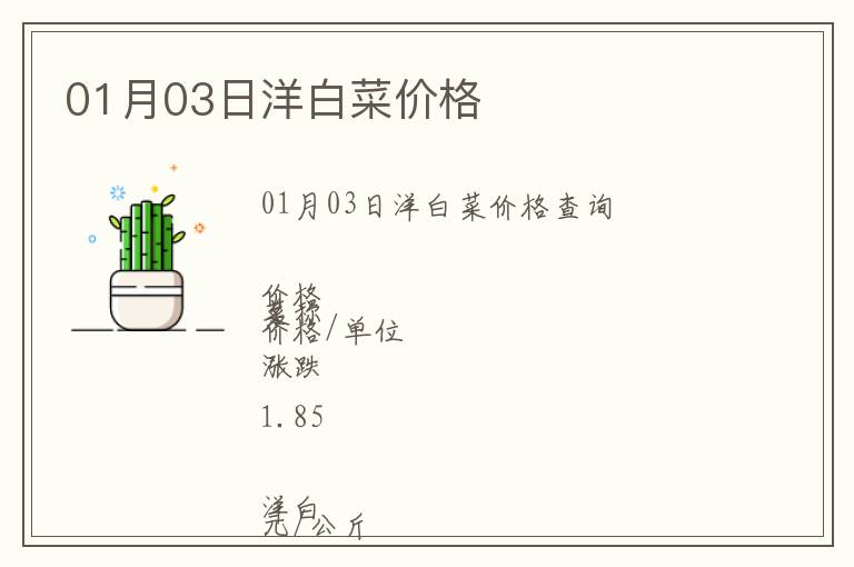 01月03日洋白菜价格