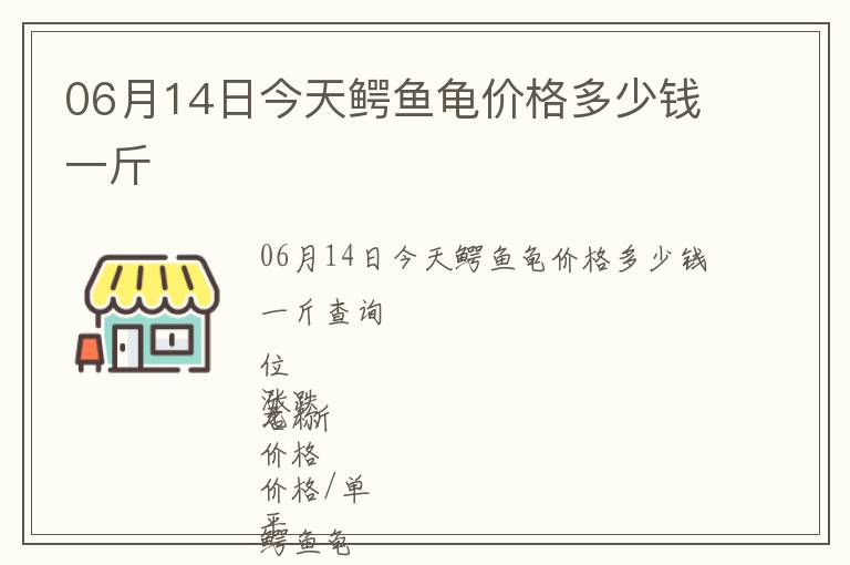 06月14日今天鳄鱼龟价格多少钱一斤