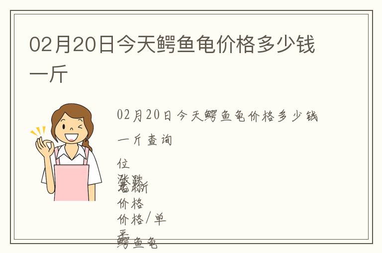 02月20日今天鳄鱼龟价格多少钱一斤