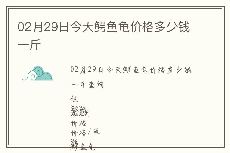 02月29日今天鳄鱼龟价格多少钱一斤