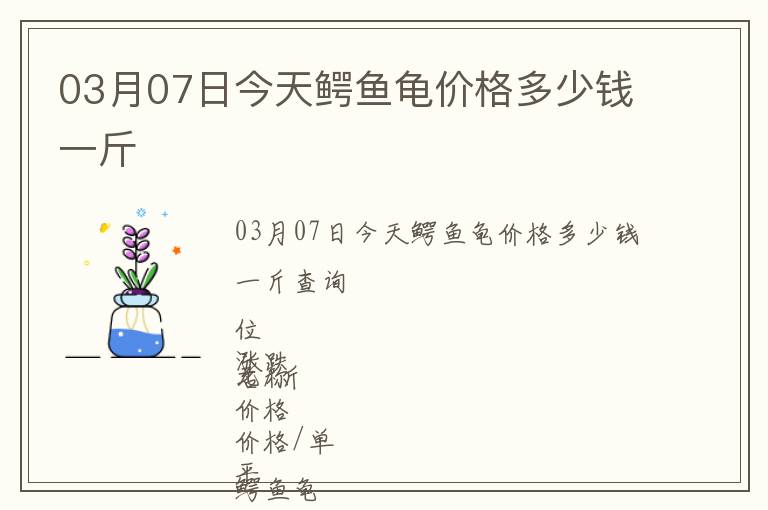 03月07日今天鳄鱼龟价格多少钱一斤