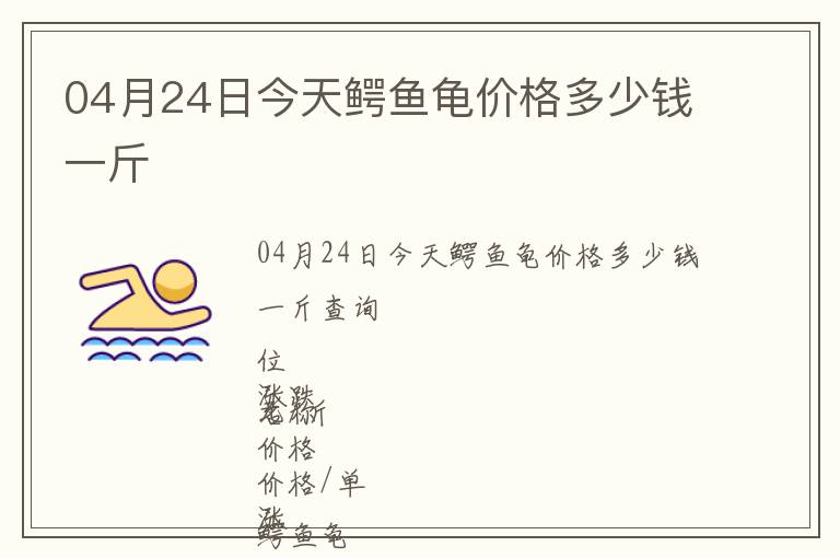 04月24日今天鳄鱼龟价格多少钱一斤