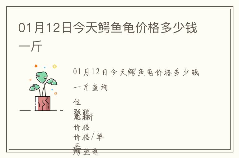 01月12日今天鳄鱼龟价格多少钱一斤