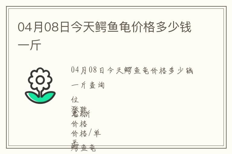 04月08日今天鳄鱼龟价格多少钱一斤