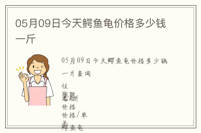 05月09日今天鳄鱼龟价格多少钱一斤