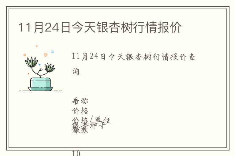 11月24日今天银杏树行情报价