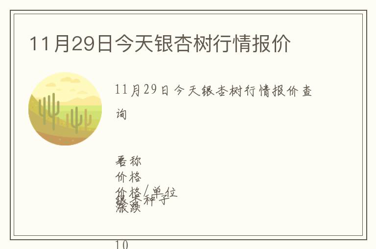 11月29日今天银杏树行情报价