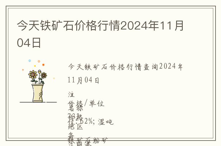 今天铁矿石价格行情2024年11月04日