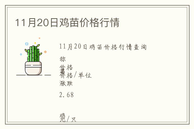 11月20日鸡苗价格行情