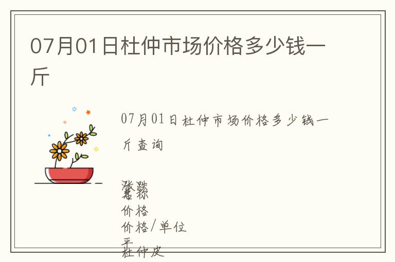 07月01日杜仲市场价格多少钱一斤