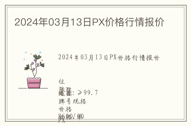 2024年03月13日PX价格行情报价