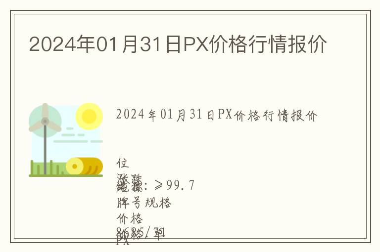 2024年01月31日PX价格行情报价