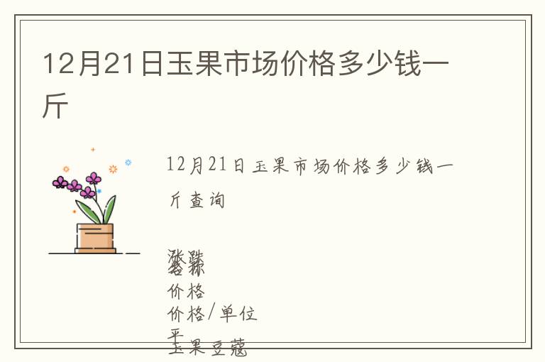 12月21日玉果市场价格多少钱一斤