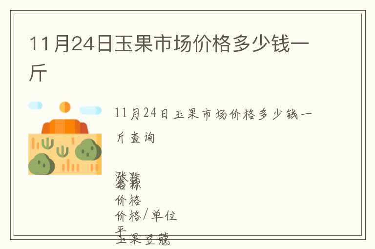11月24日玉果市场价格多少钱一斤