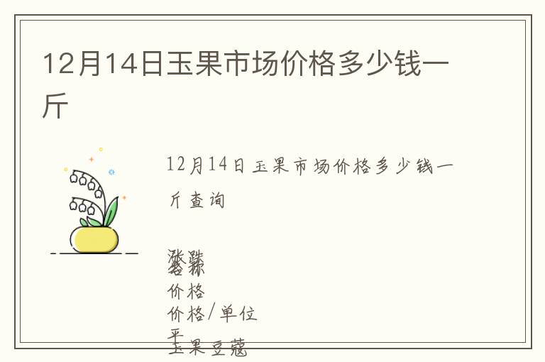 12月14日玉果市场价格多少钱一斤