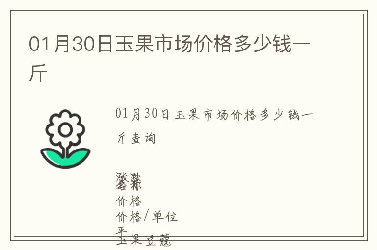 01月30日玉果市场价格多少钱一斤