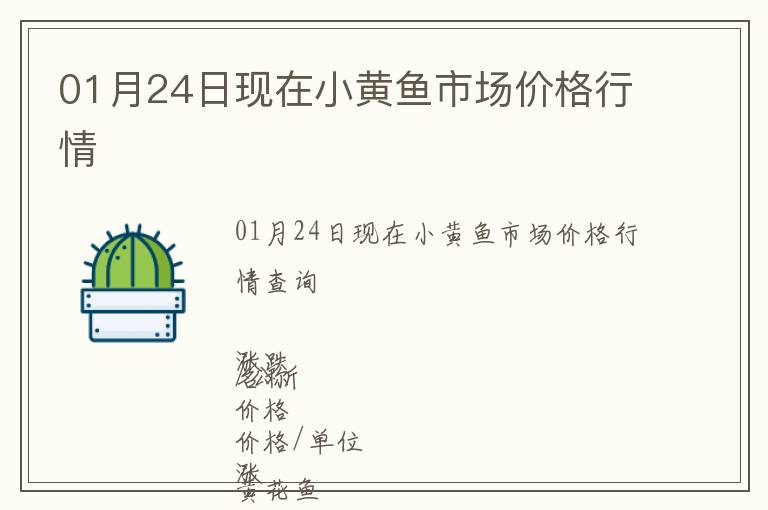 01月24日现在小黄鱼市场价格行情