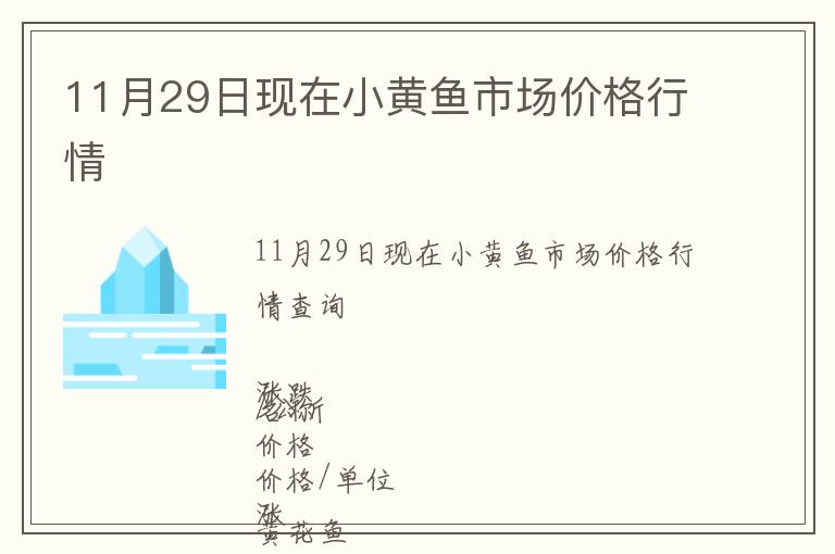 11月29日现在小黄鱼市场价格行情