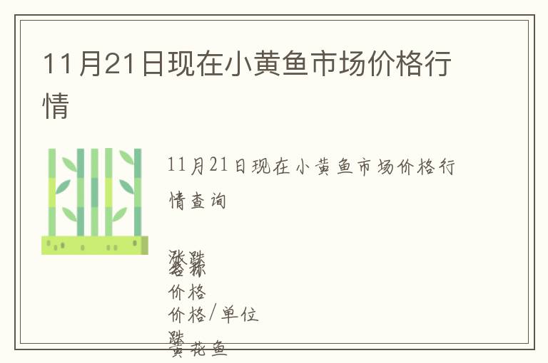 11月21日现在小黄鱼市场价格行情