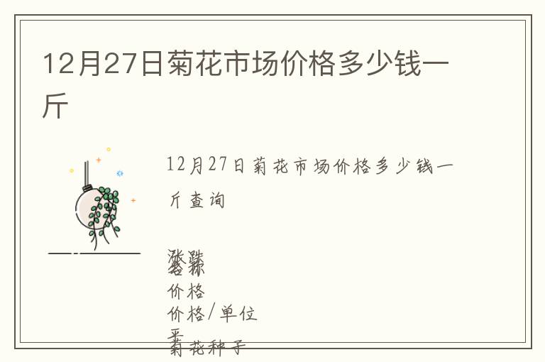 12月27日菊花市场价格多少钱一斤