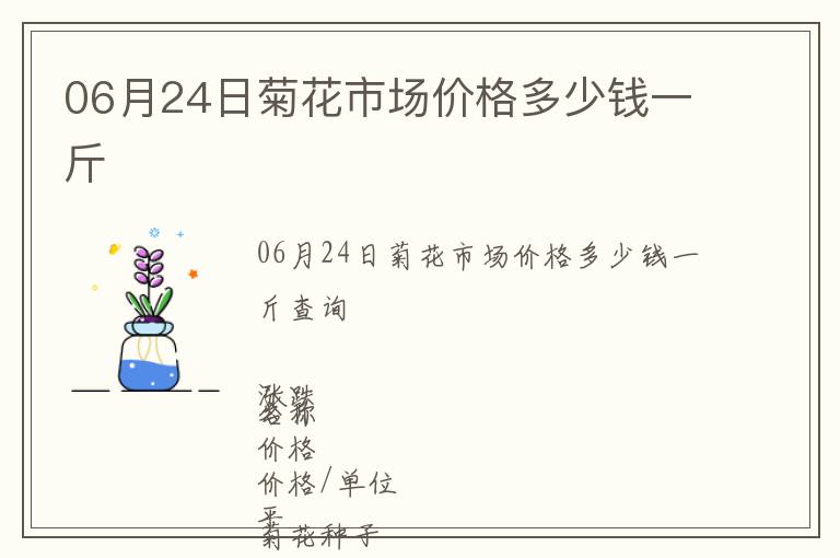 06月24日菊花市场价格多少钱一斤