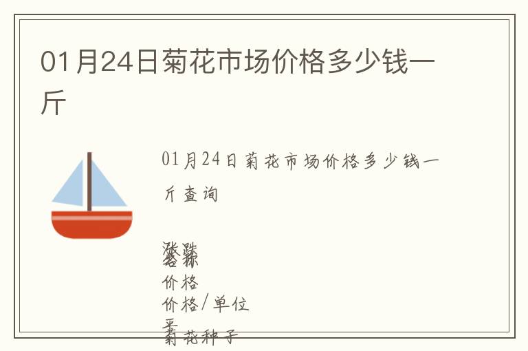 01月24日菊花市场价格多少钱一斤