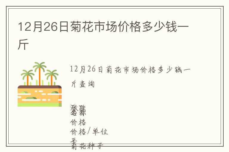 12月26日菊花市场价格多少钱一斤