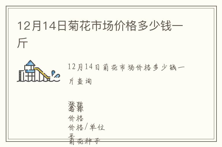 12月14日菊花市场价格多少钱一斤