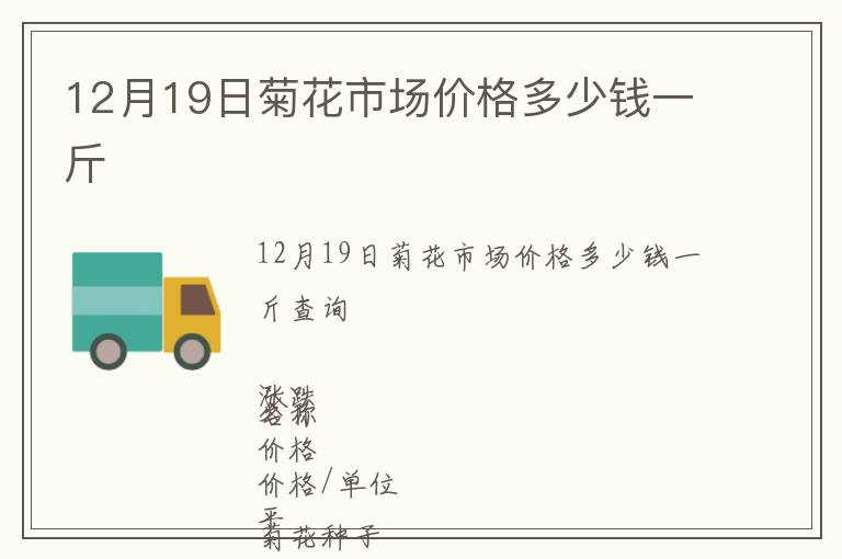 12月19日菊花市场价格多少钱一斤