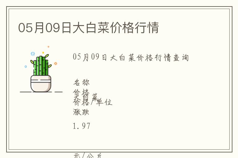 05月09日大白菜价格行情